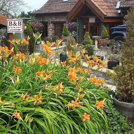 Bridge Farm Guesthouse Rooms Dundry 외부 사진