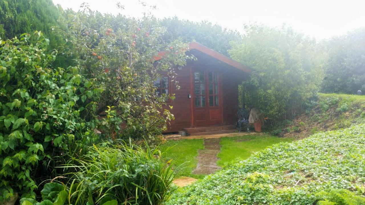 Bridge Farm Guesthouse Rooms Dundry 외부 사진